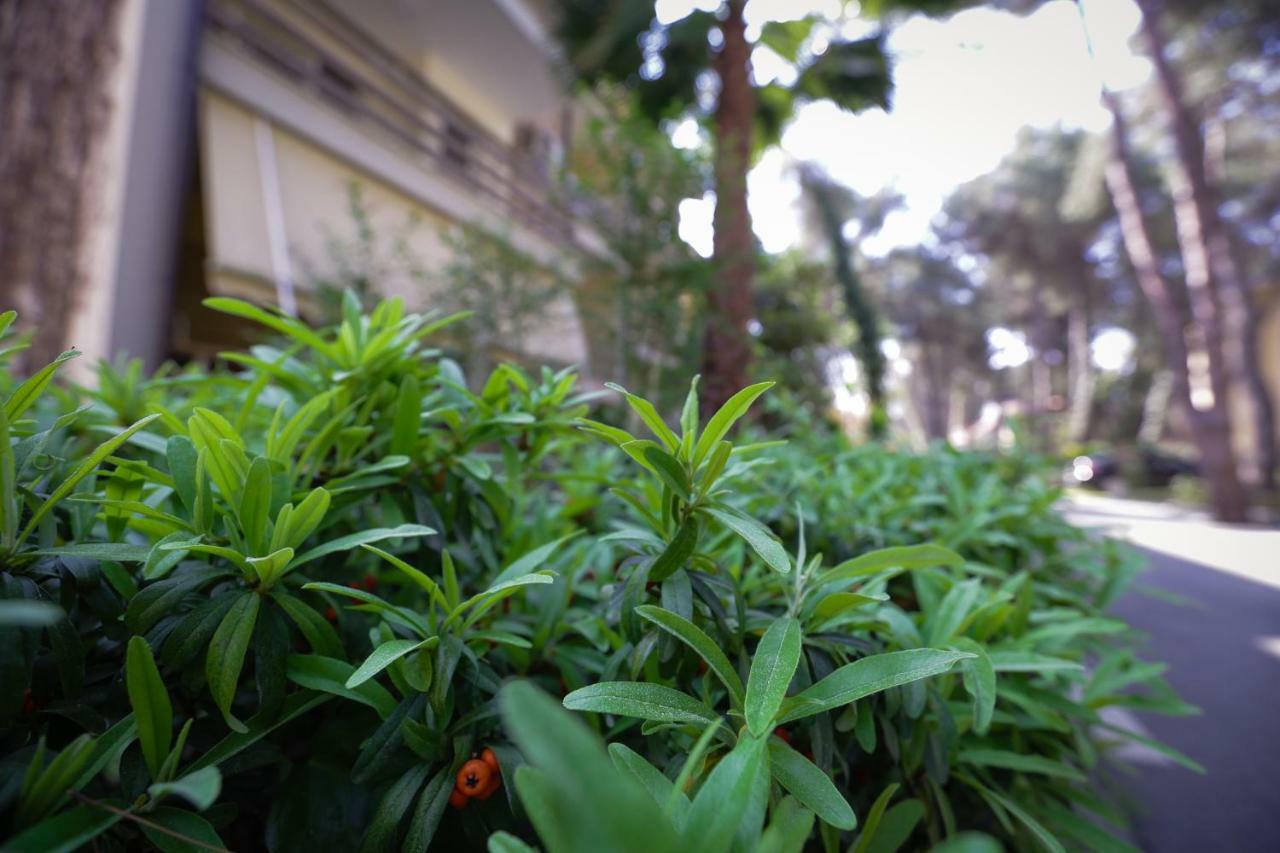 Pine-Tree Apt W/ Private Garden 50 M From The Sea Golem  Ngoại thất bức ảnh