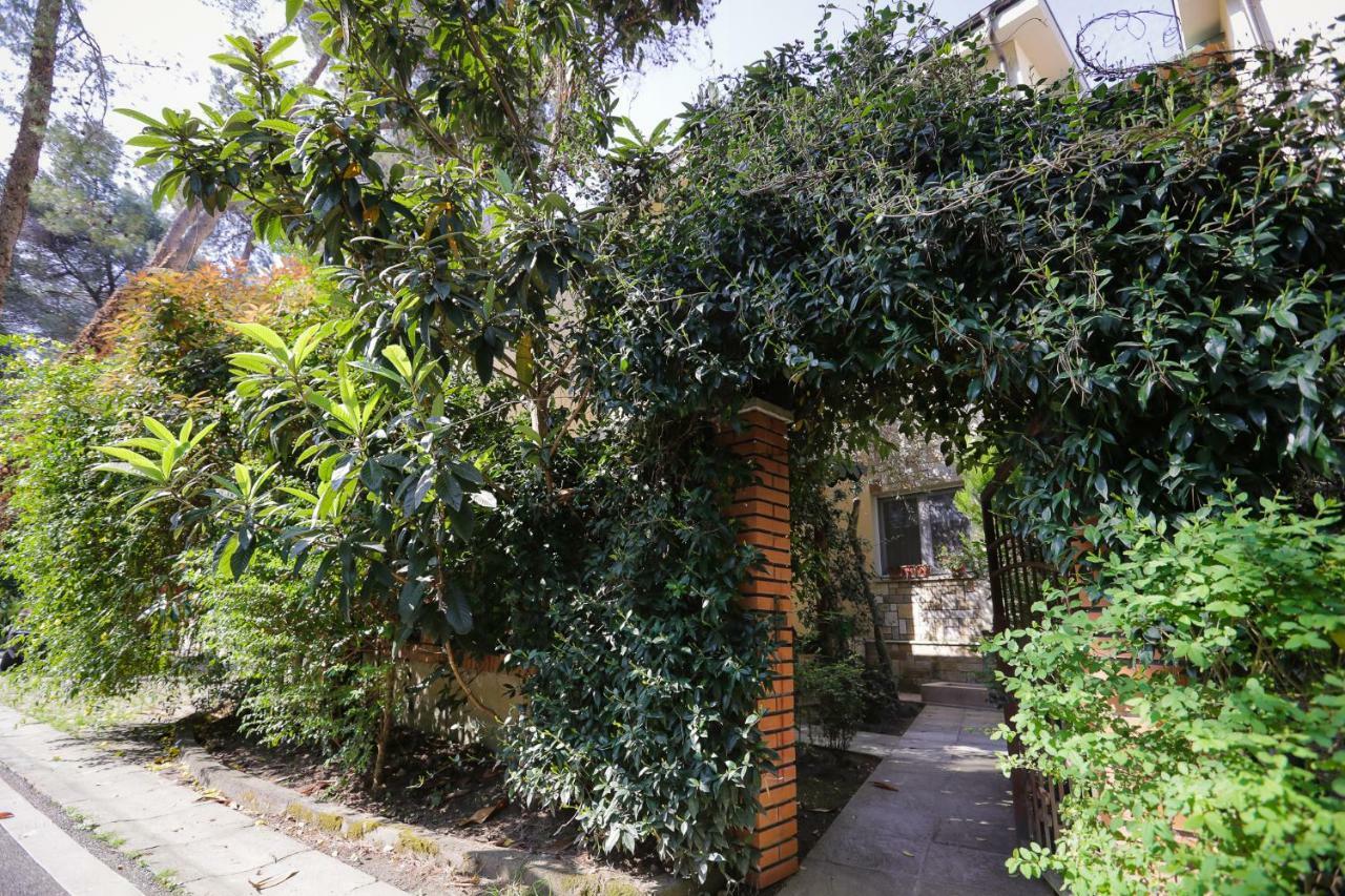 Pine-Tree Apt W/ Private Garden 50 M From The Sea Golem  Ngoại thất bức ảnh